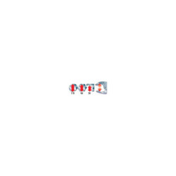 PINCE ETAUX BECS LONGS 501APB