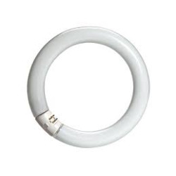 TUBE FLUO 32W CIRCULAIRE BLANC INDUS
