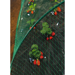 FILET PROTECTION OISEAUX 2mx10m