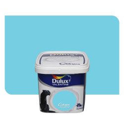 CREME DE COULEURS 2.5L BERMUDES
