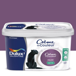 CREME DE COULEURS 2.5L PRUNE