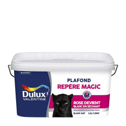 PEINTURE PLAFOND MAGIC BLANC MAT 2L5