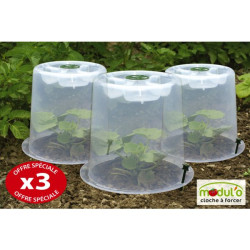 CLOCHE POTAGERE A FORCER LOT 3
