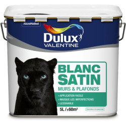 PHASE AQUEUSE SATIN BLANC 5L