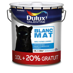 PHASE AQUEUSE MAT BLANC 10L+20% TEINTEE