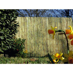 CANISSE BAMBOU FENDU 1mx5m MEDITERRANEE