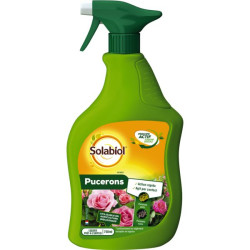 INSECTICIDE PUCERONS PAE PULVE. 750ml