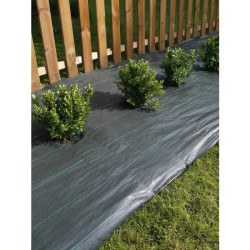 ETIQUETTE A PLANTER SB10