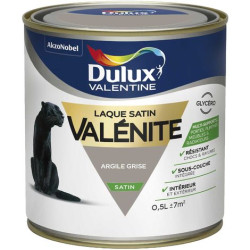 LAQUE VALENITE SATIN ARGILE 0L5