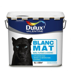 PHASE AQUEUSE MAT BLANC BW 5L