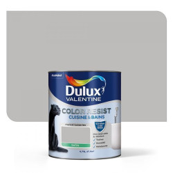 COLOR RESIST CUISINE&BAIN BETON GRIS 0L75