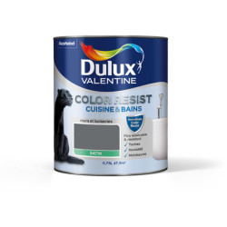 COLOR RESIST CUISINE&BAIN ANTHRACITE 0L75