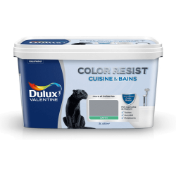 COLOR RESIST CUISINE&BAIN GRIS BUILDING 2L