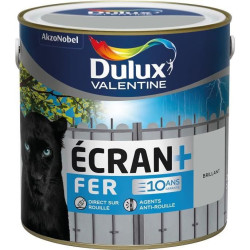 ECRAN + FER BRILLANT 2L GRIS FRANC