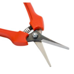 BUTEE SECATEUR 14-16-180 & 19 R515VS SB2