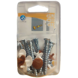VIS TOURILLON TFC 6x50mm +CACHE VIS SB12