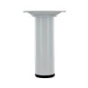 PIED H250 D30 M10 ACIER BLANC