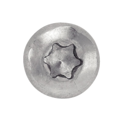 VIS TOLE TORX 4.8X38 INOX A2 BTE 200 DIN7981