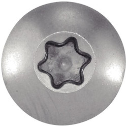 VIS PENTURE 6x50 INOX A2 BTE 100
