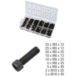 ASSORT KS TOOLS VIS 6P M4-M10 BTE 106 P