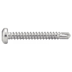 VIS AUTOPERC. TC TORX 4.8X38 BTE 250