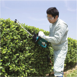 TAILLE HAIE MAKITA UH6570 550W 65cm