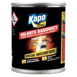 FUMIGENE KAPO 52gr 150m3 BTE