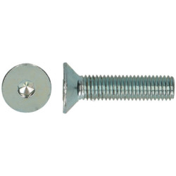 VIS FHC 6x25 ZI BTE 500 CL10.9 EF