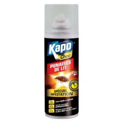 PUNAISE DE LIT CHOC AEROSOL 400ml