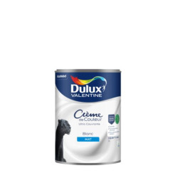 Peinture Crème de Couleur Mat