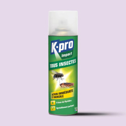 INSECTICIDE SPRAY 300ml