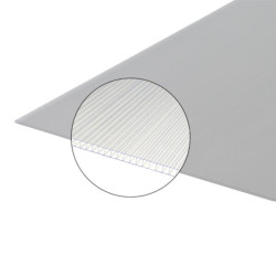 PANNEAU ALVEOLAIRE CARBOGLASS CLAIR 4mm 2x1.05m