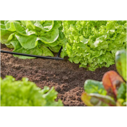 REDUCTEUR EN T 13/4.6mm GOUTE A GOUTTE SB4
