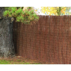BRANDE DE BRUYERE ECOLO 1cm 1x5m