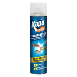 INSECTICIDE MULTI USAGES 500ml