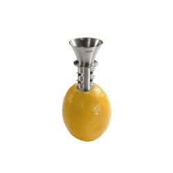TROMPETTE A CITRON