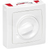 INTER VARIATEUR 300W OTEO BLANC