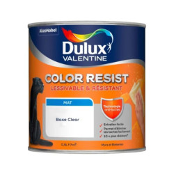 COLOR RESIST MURS ET BOISERIES MAT BASE CLEAR 0L5