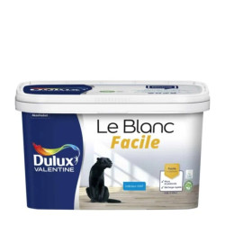 Peinture Blanche Haute Résistance Mur/Plafond Mat - VALENTINE