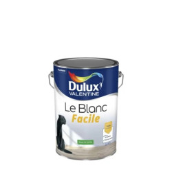 LE BLANC FACILE SATIN 5L BC