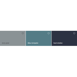 ECRAN+ FER BRILLANT GRIS ANTHRACITE 0,25L
