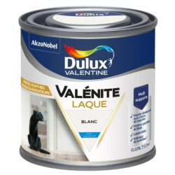 Laque Acrylique Valénite Mat