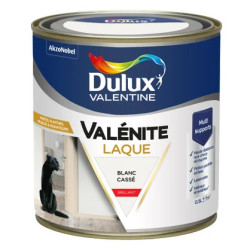 Laque Acrylique Valénite Brillant