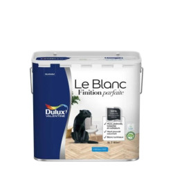PEINTURE BLANC FINITION PARFAITE MAT 5L