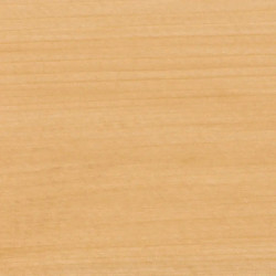 PRIMAIRE AVANT VITRIFICATION INCOLORE 2L5