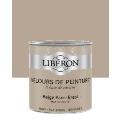 Peinture Gamme Velours de Peinture