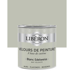 Peinture Gamme Velours de Peinture