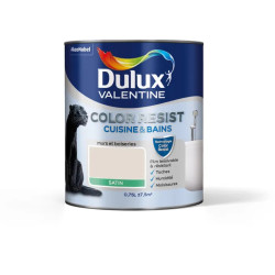 Peinture Color Resist Cuisine et Salle de Bain Valentine