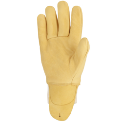 GANT CUIR BOVIN HYDROFUGE T09 PAQ.10
