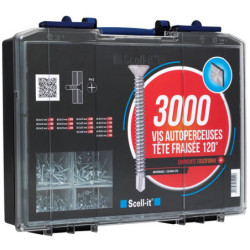 VIS AUTOPERCEUSE TF COFFRET 3000